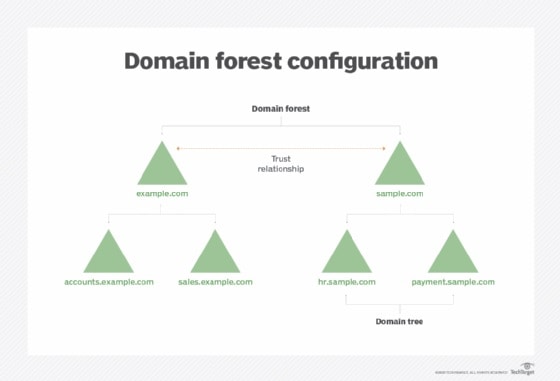 A sample domain forest diagram