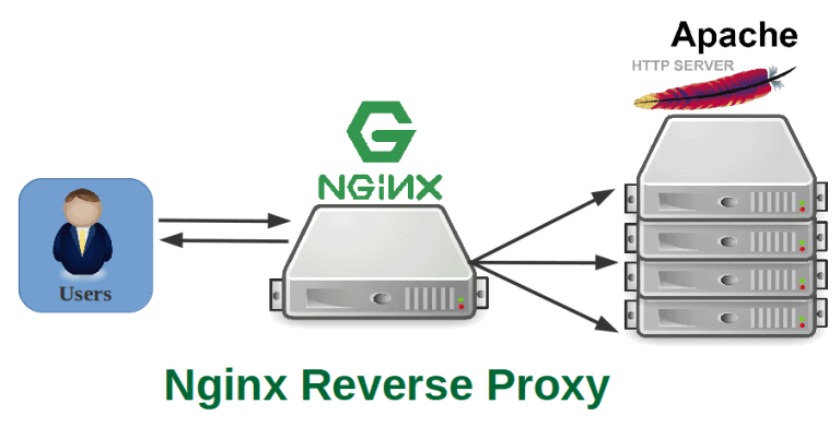 nginx reverse proxy