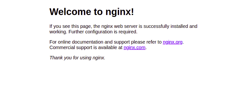 testing nginx web server