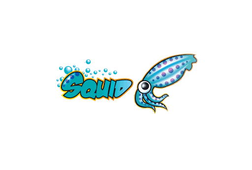 Nginx vs Squid Proxy