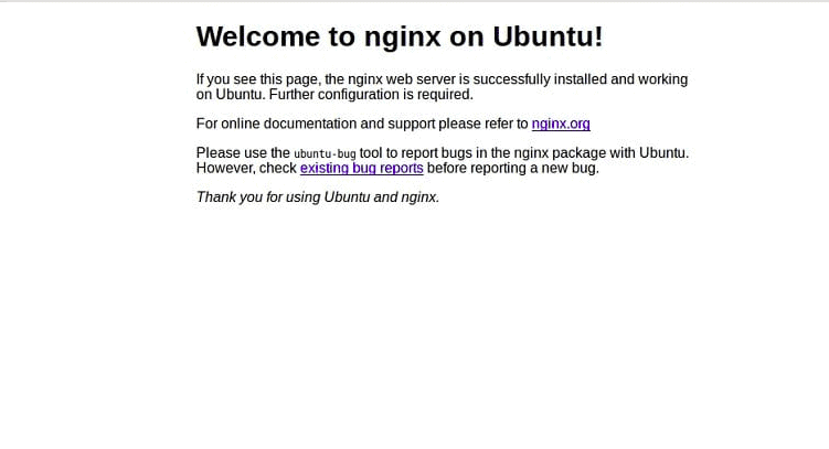nginx web server