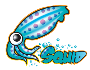 Squid Proxy Best Practice Configuration