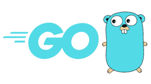 what is golang server