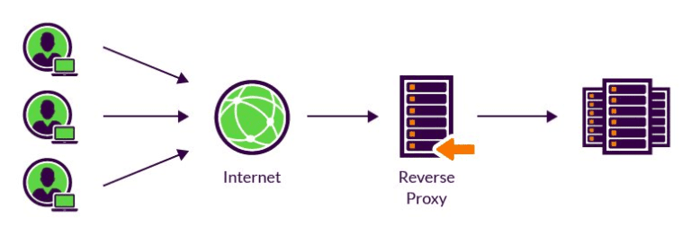 Reverse Proxy vs Load Balancer – What’s the Difference?