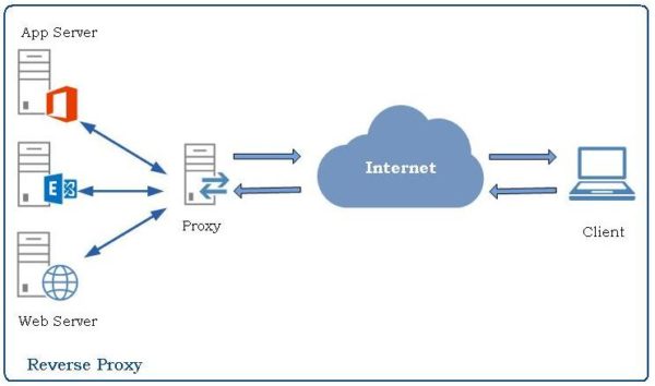 Reverse proxy use case - access control for servers