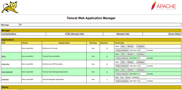 tomcat manager dashboard