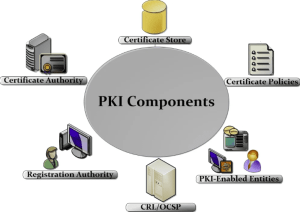 components of pki
