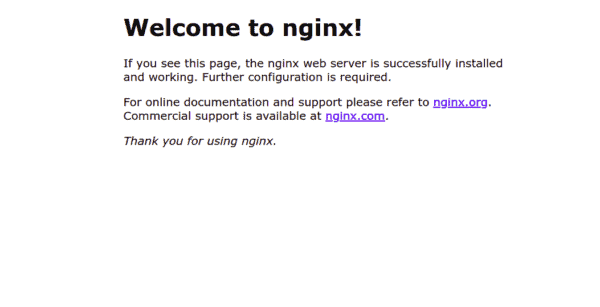 Install & Secure NGINX with Let's Encrypt Certificates on Ubuntu 20.04. nginx test page