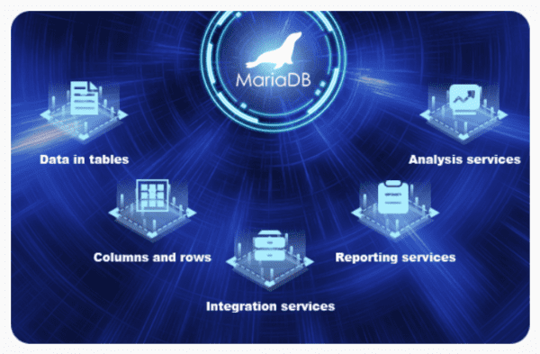 What are MariaDB Data Types Explained