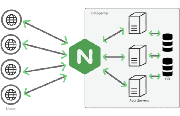 what does Nginx server do