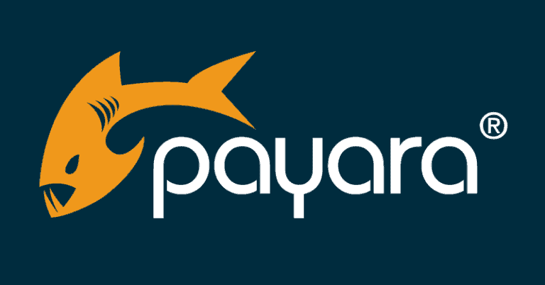 Payara server Top 10 Best Apache Tomcat Alternatives