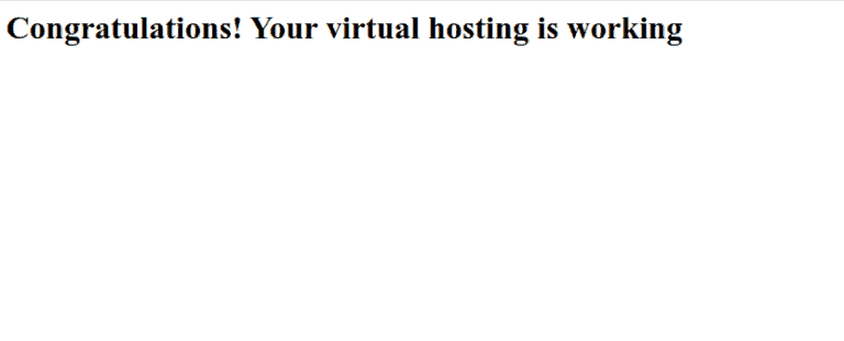 Test Nginx virtual host