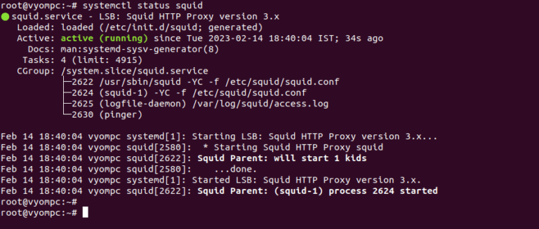 Setup a Transparent Proxy using Squid Proxy Server. verify squid status