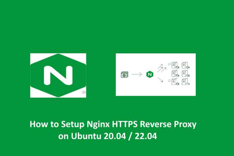 Setup Nginx HTTPS Reverse Proxy on Ubuntu 20.04 / 22.04