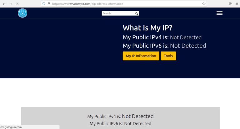 tinyproxy what is my ip page