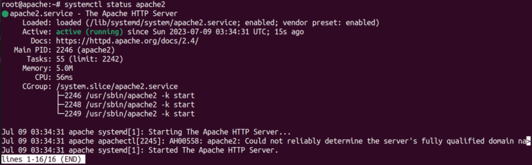 Apache SSL/TLS Configuration: Enable HTTPS on Apache Server check apache status