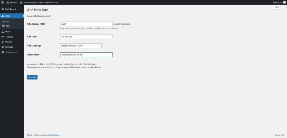 Screenshot of WordPress Multisite Network Setup - Add new site