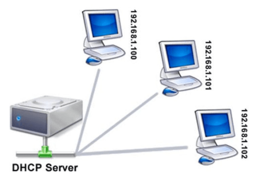 DNS vs DHCP How does DHCP work?