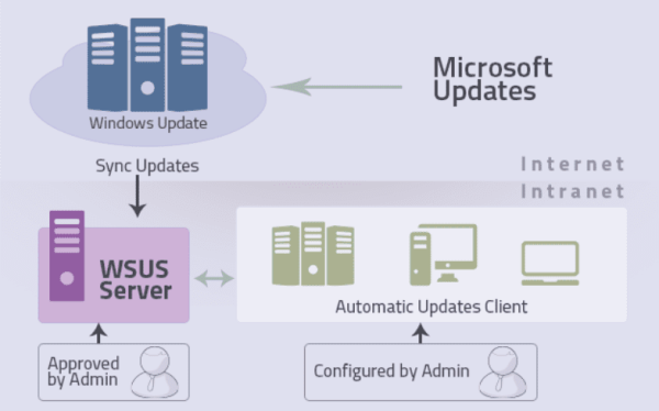 How to Setup WSUS Server on Windows Server 2022