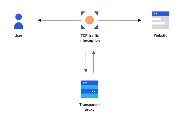 The Basics of Transparent Proxies: What They Are and How They Work