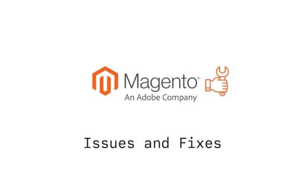 Magento Server Troubleshooting: How to Diagnose and Fix Common Issues