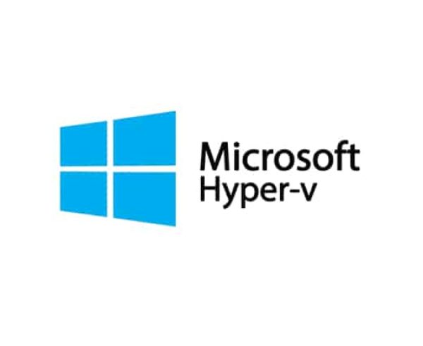 Hyper-V vs ESXi - What's the Difference ?