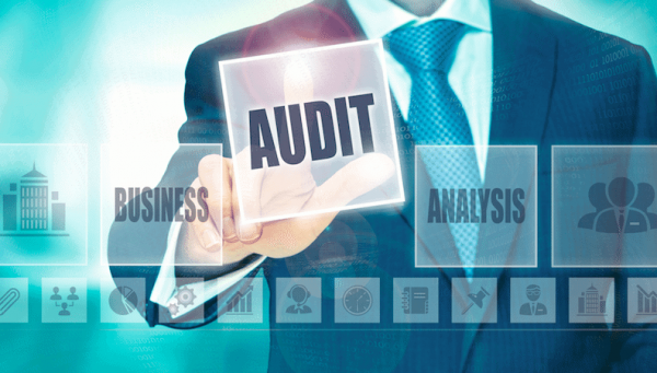 what is security audit